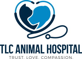 Veterinarians in El Paso, TX | TLC Animal Hospital