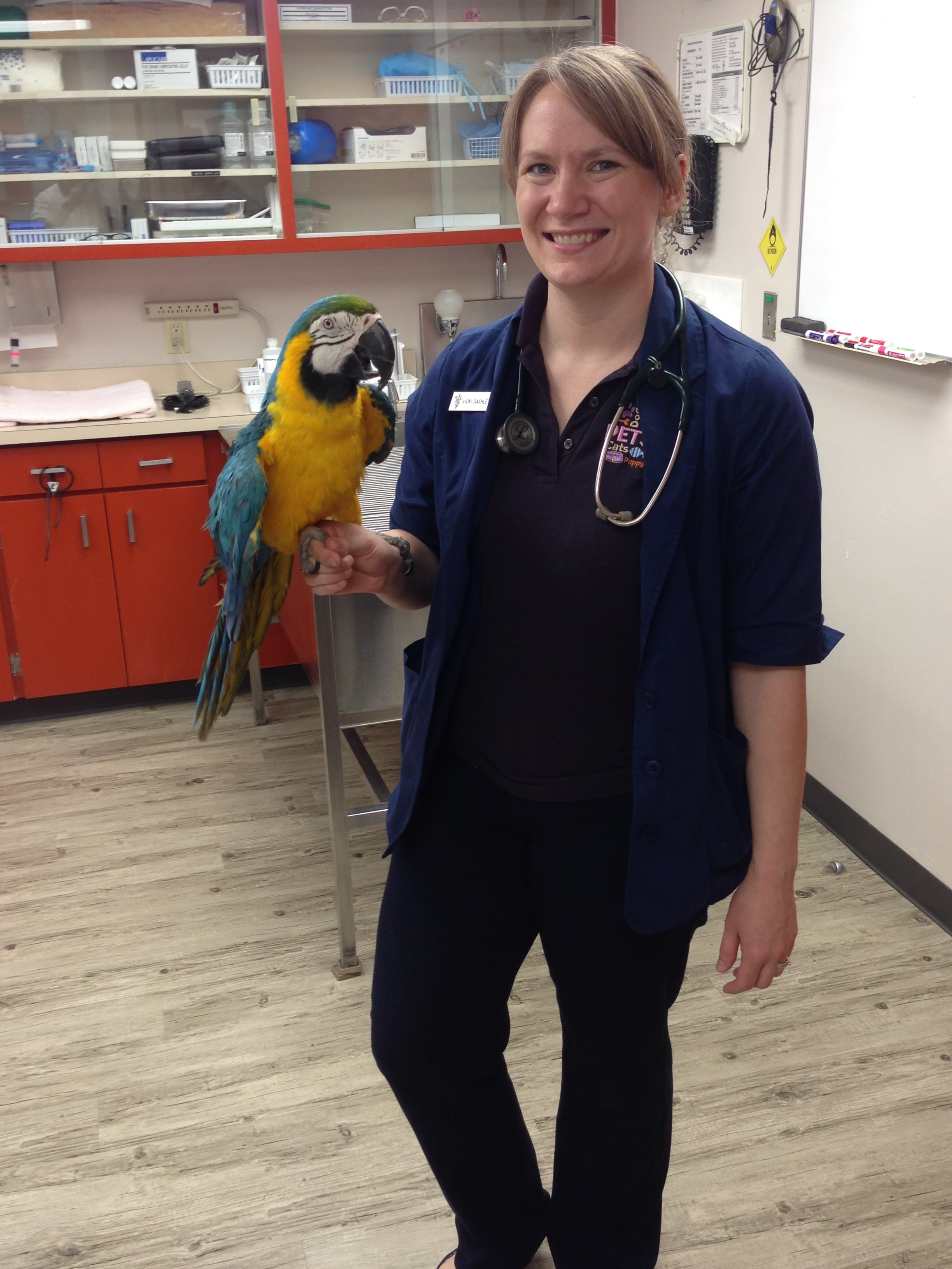 Exotic Animal Medicine - El Paso Vet | TLC Animal Hospital